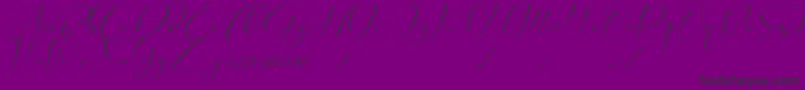 Cameliya Stark Font – Black Fonts on Purple Background