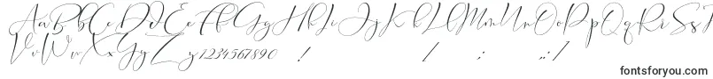 Шрифт Cameliya Stark – каллиграфические шрифты