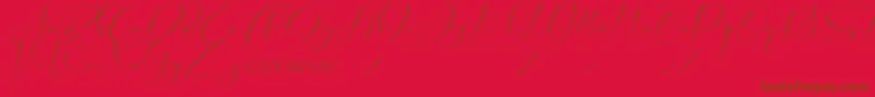 Cameliya Stark-Schriftart – Braune Schriften auf rotem Hintergrund