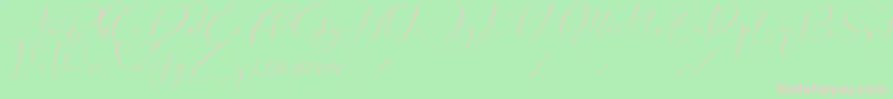 Cameliya Stark Font – Pink Fonts on Green Background