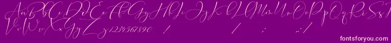 Cameliya Stark Font – Pink Fonts on Purple Background