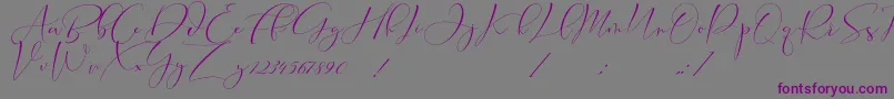 Cameliya Stark-Schriftart – Violette Schriften auf grauem Hintergrund