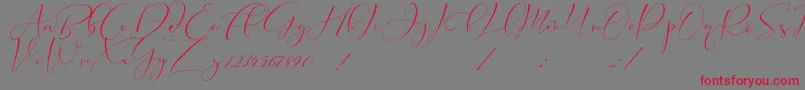 Cameliya Stark Font – Red Fonts on Gray Background