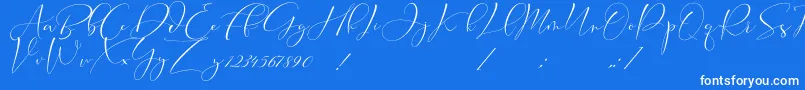 Cameliya Stark Font – White Fonts on Blue Background