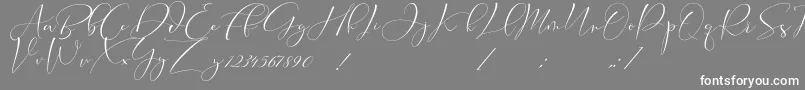 Cameliya Stark-Schriftart – Weiße Schriften auf grauem Hintergrund