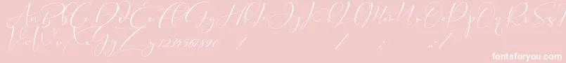 Weitere Informationen zur Cameliya Stark-Schriftart Cameliya Stark-Schriftart – Weiße Schriften auf rosa Hintergrund