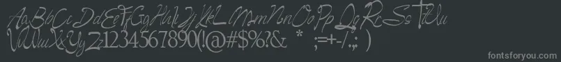 Camella Beauty Scriptフォントについての詳細 フォントCamella Beauty Script – 黒い背景に灰色の文字