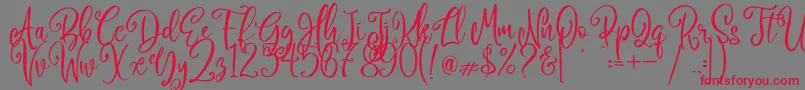 Camellia Font – Red Fonts on Gray Background
