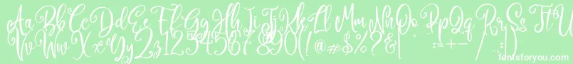 Camellia Font – White Fonts on Green Background