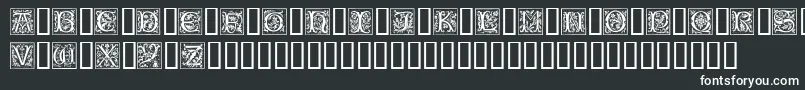 CamelotCaps-fontti – valkoiset fontit mustalla taustalla