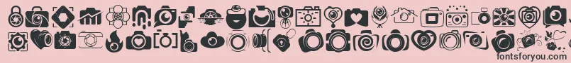 CAMERA   FOTOGRAAMI Font – Black Fonts on Pink Background