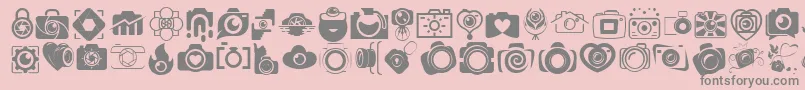 CAMERA   FOTOGRAAMI-Schriftart – Graue Schriften auf rosa Hintergrund