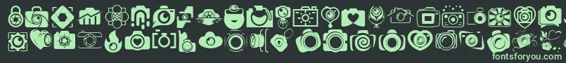 CAMERA   FOTOGRAAMI Font – Green Fonts on Black Background