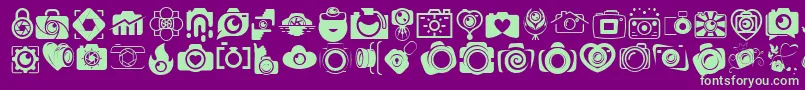 CAMERA   FOTOGRAAMI Font – Green Fonts on Purple Background