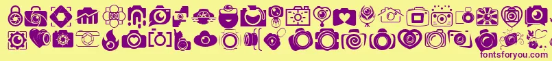 CAMERA   FOTOGRAAMI Font – Purple Fonts on Yellow Background