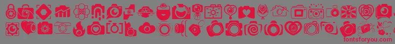 CAMERA   FOTOGRAAMI Font – Red Fonts on Gray Background