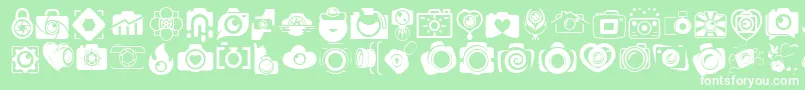 CAMERA   FOTOGRAAMI Font – White Fonts on Green Background