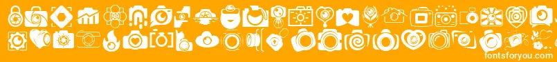 CAMERA   FOTOGRAAMI Font – White Fonts on Orange Background