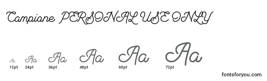 Campione PERSONAL USE ONLY Font Sizes