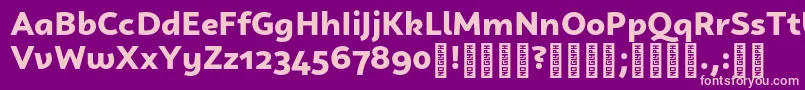 CampuniDemo Black Font – Pink Fonts on Purple Background