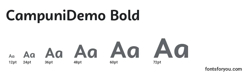 Размеры шрифта CampuniDemo Bold
