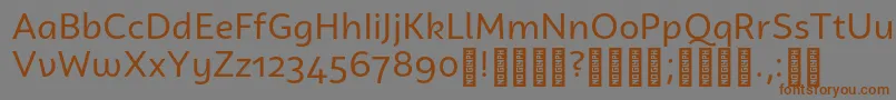 CampuniDemo Regular-Schriftart – Braune Schriften auf grauem Hintergrund