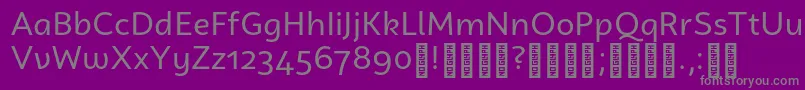 CampuniDemo Regularフォントについての詳細 フォントCampuniDemo Regular – 紫の背景に灰色の文字
