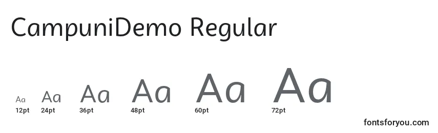Размеры шрифта CampuniDemo Regular