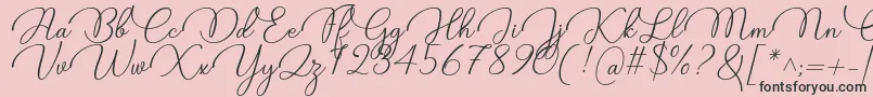 Candire Font by 7NTypes Font – Black Fonts on Pink Background