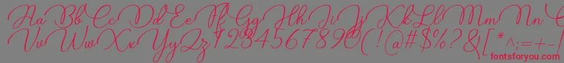 Candire Font by 7NTypes Font – Red Fonts on Gray Background