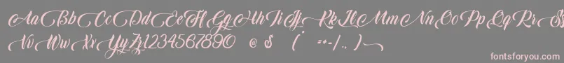 Candle Mustard Font – Pink Fonts on Gray Background