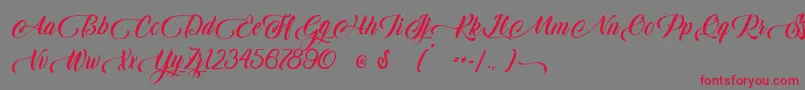 Candle Mustard Font – Red Fonts on Gray Background