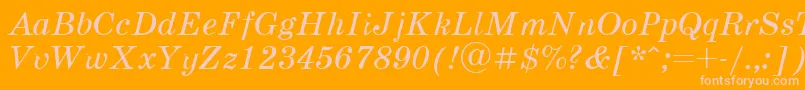 Schoolbook.KzItalic Font – Pink Fonts on Orange Background
