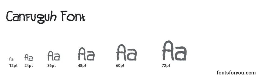 Размеры шрифта Canfuguh Font