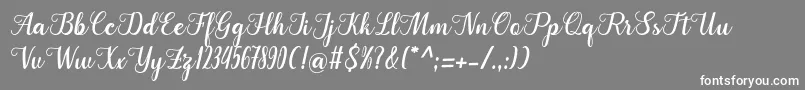 フォントCangkhoi – 灰色の背景に白い文字