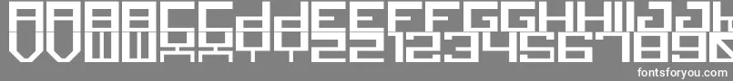Шрифт canid – белые шрифты на сером фоне