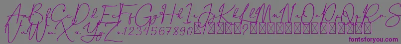 CanthikaFree Font – Purple Fonts on Gray Background