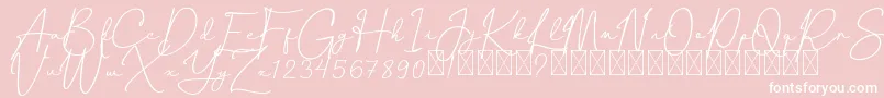 CanthikaFree Font – White Fonts on Pink Background
