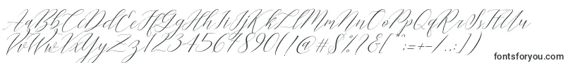 Cantona Slant-fontti – Allekirjoitusfontit
