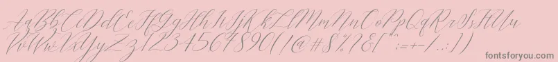 More about Cantona Slant Font Cantona Slant Font – Gray Fonts on Pink Background