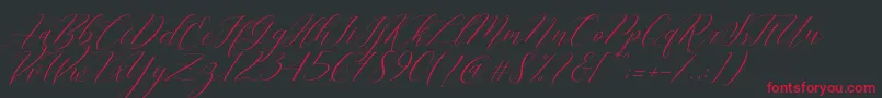 Cantona Slant Font – Red Fonts on Black Background