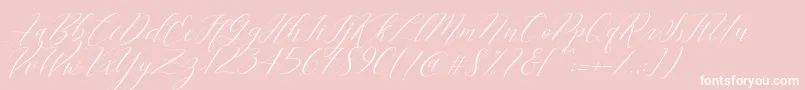 Cantona Slant-Schriftart – Weiße Schriften auf rosa Hintergrund