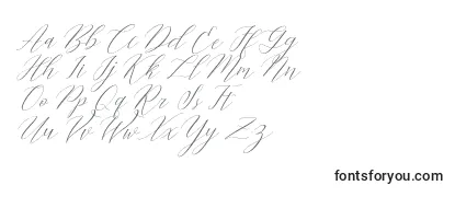 Обзор шрифта Cantona Slant
