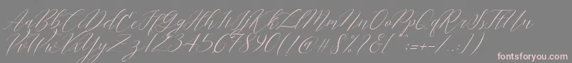 Cantona Slant Font – Pink Fonts on Gray Background