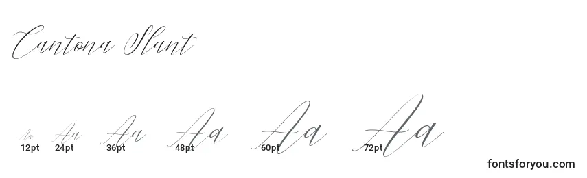 Размеры шрифта Cantona Slant (122723)