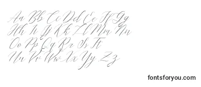 Überblick über die Schriftart Cantona Slant