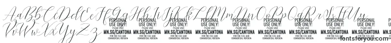 Шрифт CantonaScript PERSONAL USE – простые шрифты