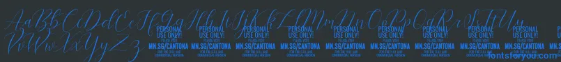CantonaScript PERSONAL USE Font – Blue Fonts on Black Background