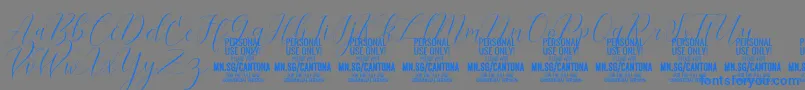 CantonaScript PERSONAL USE Font – Blue Fonts on Gray Background