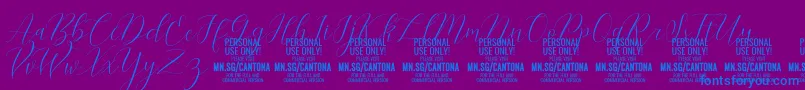 CantonaScript PERSONAL USE-Schriftart – Blaue Schriften auf violettem Hintergrund